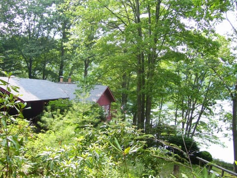 Lakeside Cabin