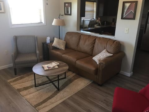 Sleeper Sofa