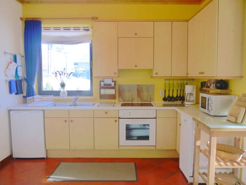 Well-equipped kitchen