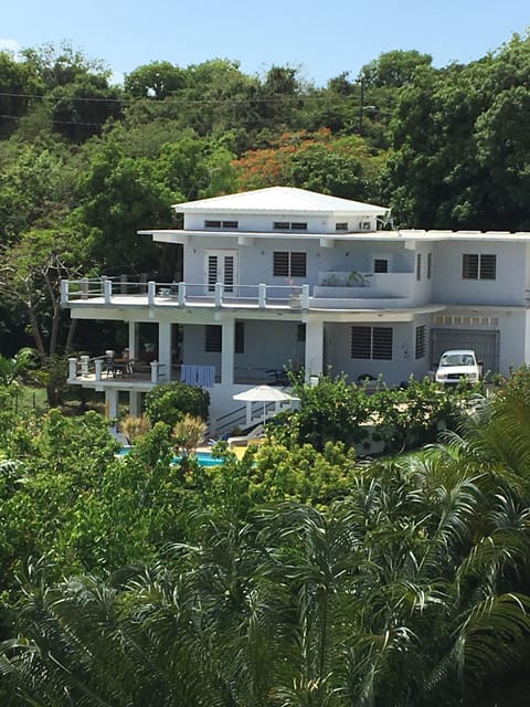 Secluded 