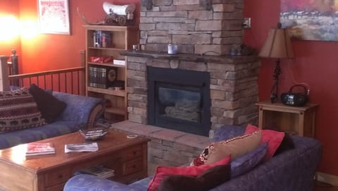 Living room and Fireplace