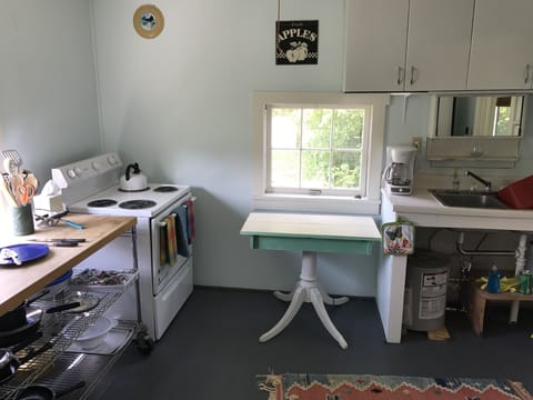 The river cabin kitchen