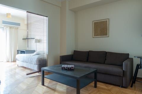 Living area with sleeping area beyond.