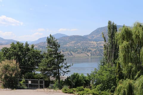 Skaha Lake View