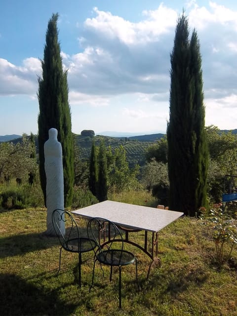 Villa La Rogaia - garden