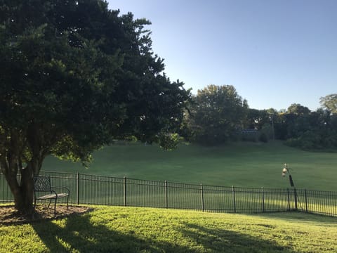 Backyard + Outdoor green space.