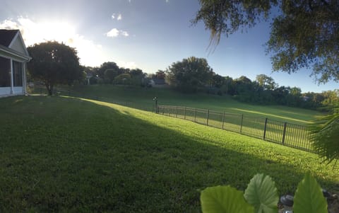 Backyard + open green space 