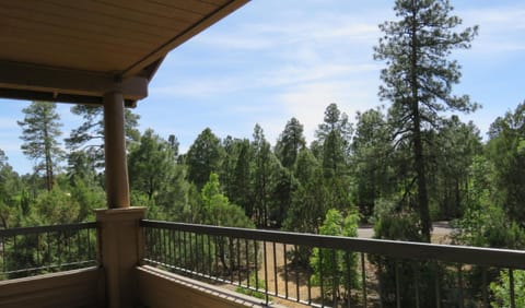 Looking West from the balcony