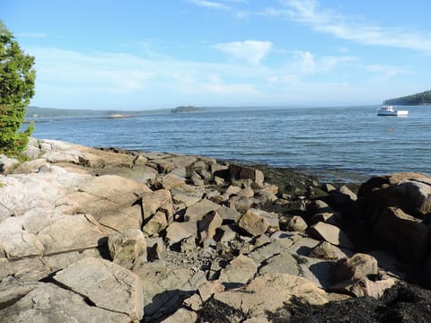 Our view of Dyer Bay and the open ocean