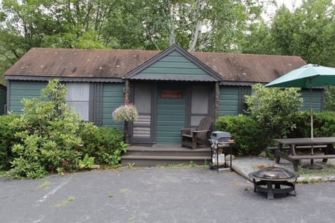Raccoon Retreat Cabin with grill, firepit, and picnic table