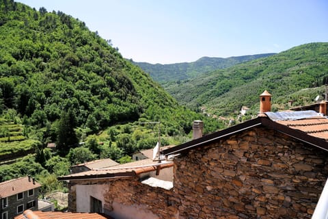 Another picture of the view from the balcony