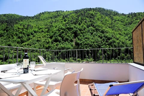The balcony with panoramic views over the Nervia valley. 