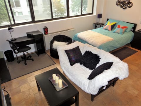 General view of the studio