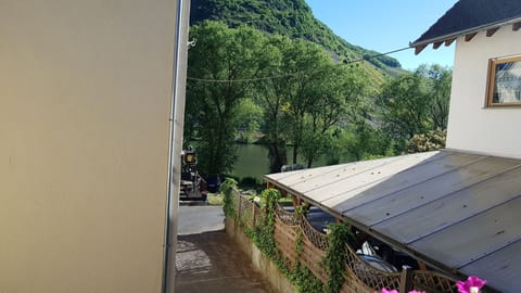 Aussicht auf die Mosel