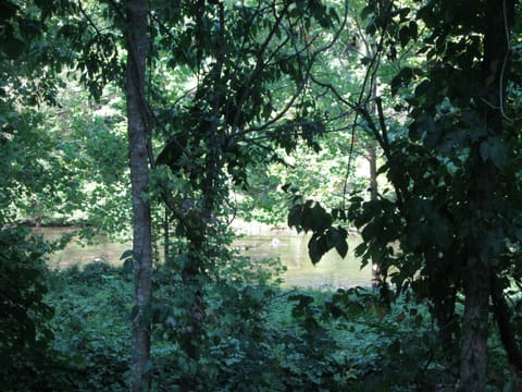 View from the porch