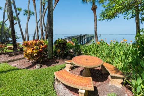 Pretty backyard and picnic area
