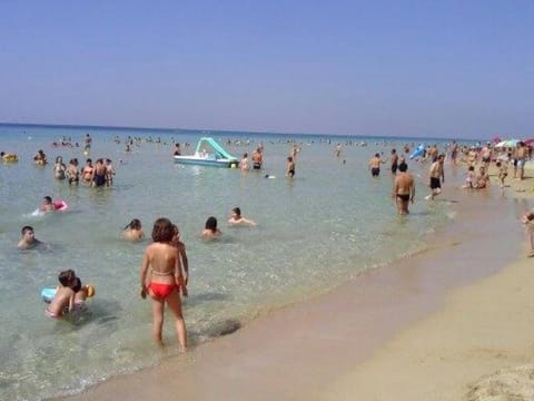 day at the beach