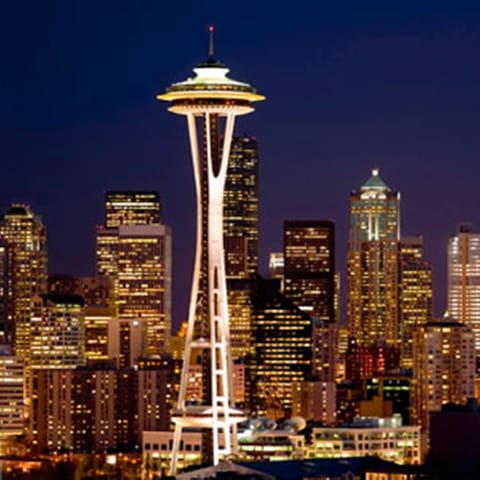Space Needle - area photo 