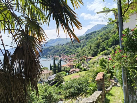 Spectacular scenery above Mennaggio