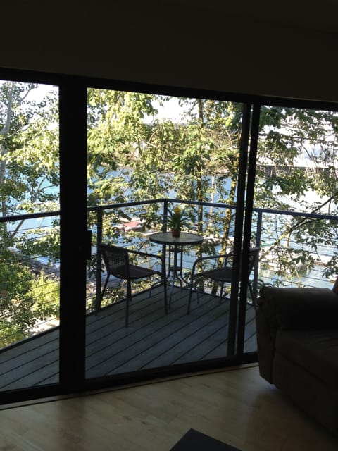 Summer view from living room full river view enhanced with trees in full bloom