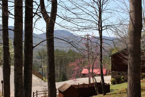 View from Hemlock Haven's front porch