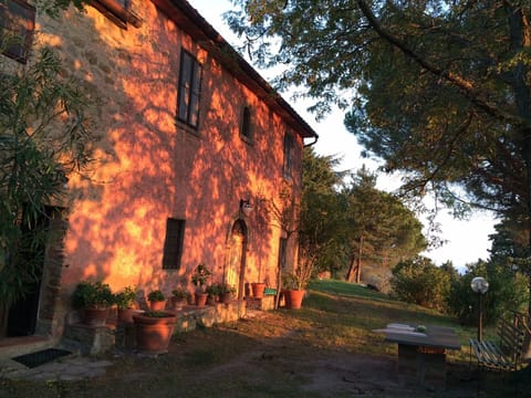 Sunsets on the blushing facade. 