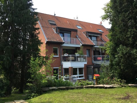View from the garden