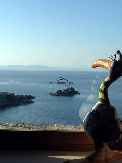 Amazing view from inside the house