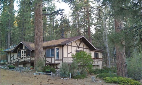 The Swiss-style Chalet was hand-crafted on five acres of old-growth pine trees.