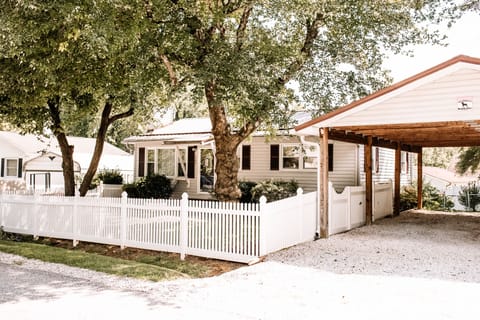 Jazzee's Diamond Pet Friendly 