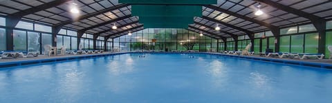 Take a dip in the pool.