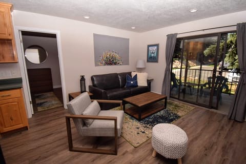 Living room. All new furniture. Includes sofa bed.