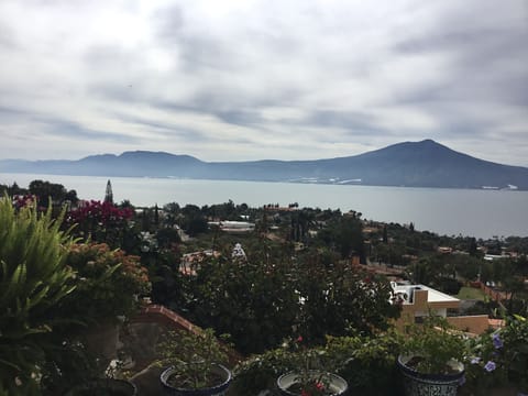 The View From Every Window and Terrace,!