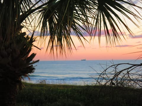 Welcome to beautiful Cocoa beach, FL!
