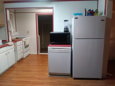 Dishwasher and Fridge