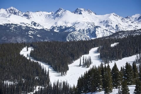 Glide down scenic tree-lined runs with panoramic mountain backdrops.