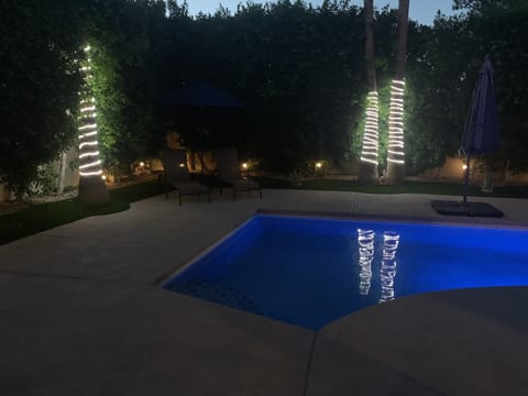 Modern lighting on palm trees