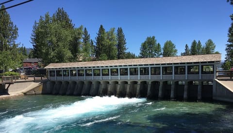 wsh0820 fanny bridge