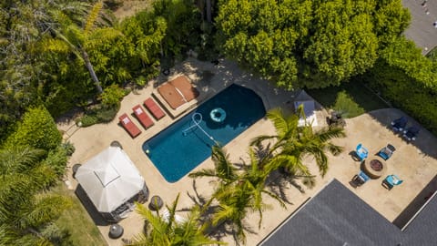 Aerial view of tropical experience.