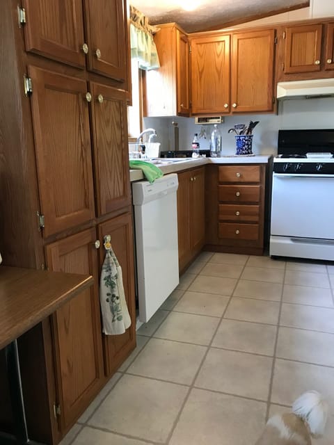 This is a view of the Kitchen