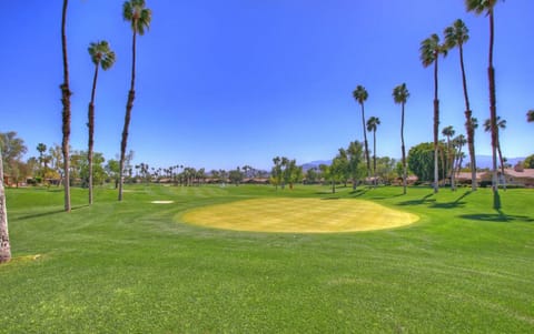 Backyard view