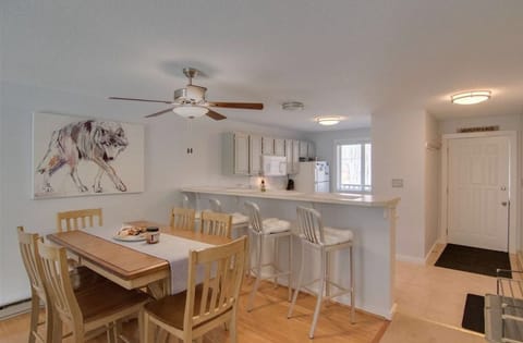 Beautiful Airy Mountain Condo