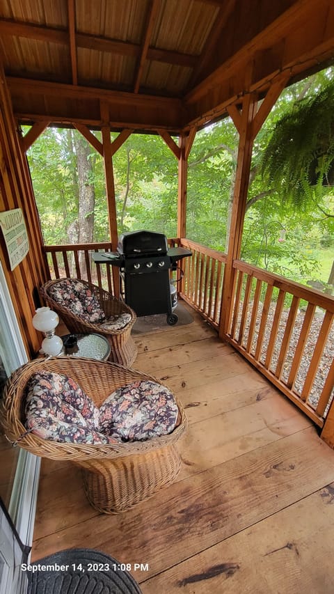 Propane grill on screened in porch