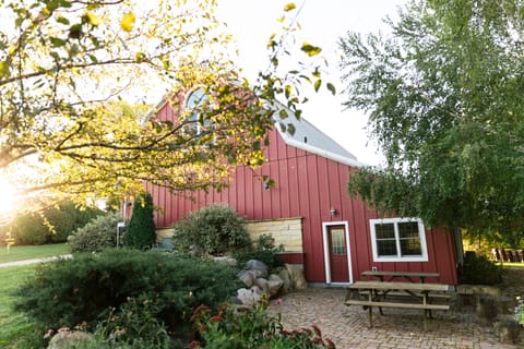 Our north facing outdoor patio with picnic tables