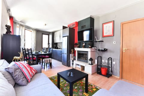 The open living room / kitchen has a fireplace, a sofa bed, & air conditioning.