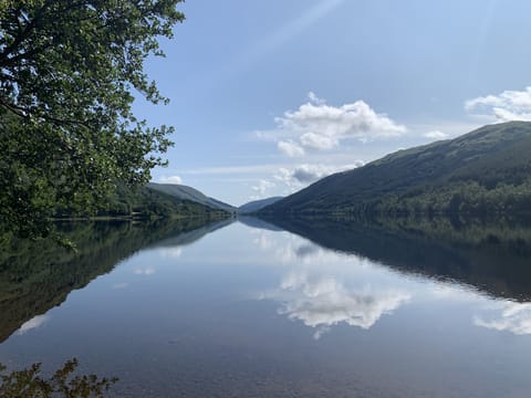Spacious Victorian home with many original details. House in Stirling