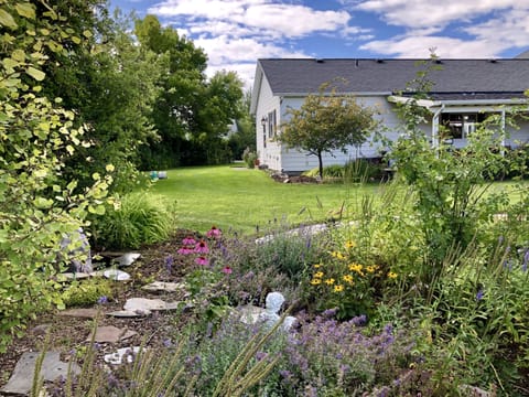 Mediation garden for your summer enjoyment