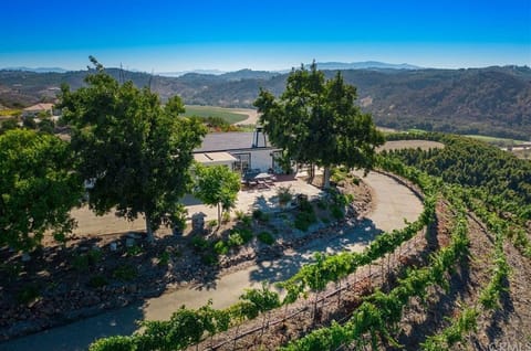 BEUTIFUL VINEYARD PROPERY