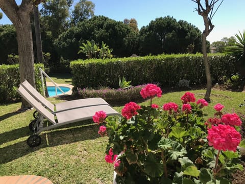 View of garden to pool