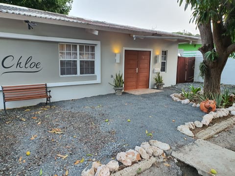 Beautifully landscaped front yard with tropical plants and a peaceful vibe.